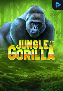 Jungle Gorilla